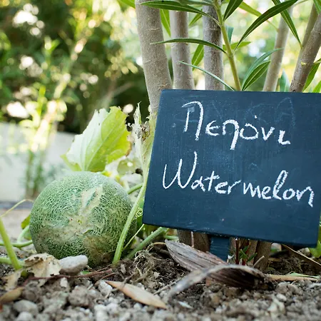 Mouras Lejlighedshotel