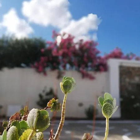 Mouras Livadi (Astypalaia)
