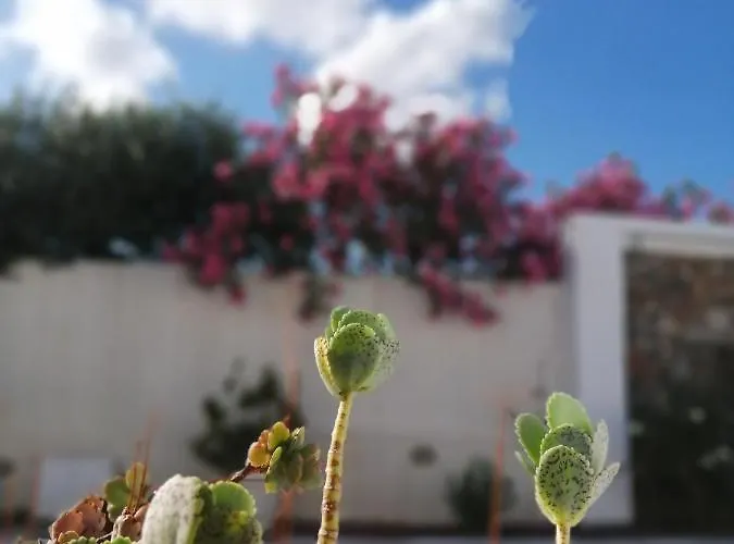 Mouras ليفاذيا أستيبالياس