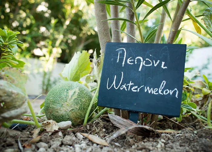 Mouras شقة فندقية